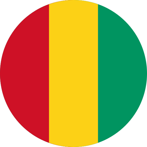 guinea Generic color fill icon