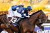 Henri Matisse wins the Breeders&#39; Cup Juvenile Turf at  Del Mar