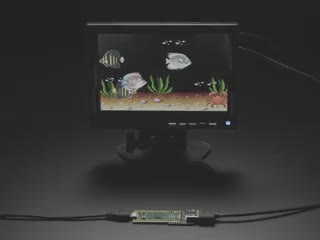 Video of an HDMI monitor displaying an aquarium animation.