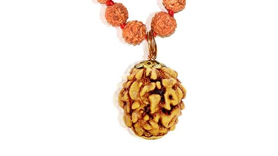 Chaar Mukhi/ Four faced  Rudraksha - Lab Certified