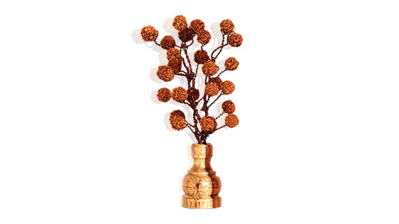 Rudraksha Tree (54 Beads Natural)