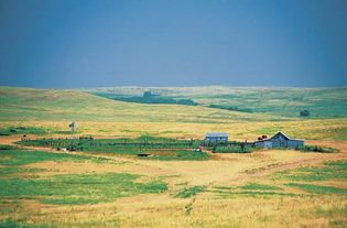 Kansas, U.S.: grassland