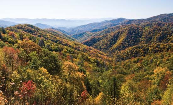 Great Smoky Mountains National Park