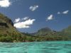 Studying humpback whales in the South Pacific