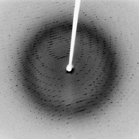 X-ray diffraction