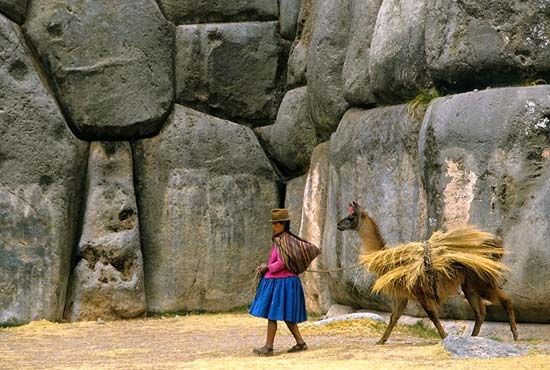 Sacsahuamán, Peru: llama