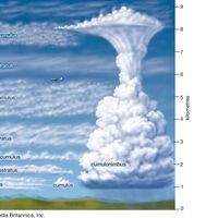 ten types of clouds and their elevation: cirrus, cirrocumulus, cirrostratus, altocumulus, altostratus, nimbostratus, stratocumulus, stratus, cumulus, cumulonimbus