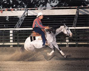 horse competition