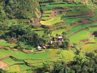 Banaue rice terraces