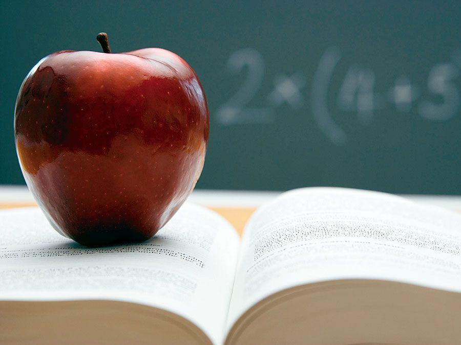 Textbook chalkboard and apple. Fruit of knowledge. Hompepage blog 2009, History and Society, school education students