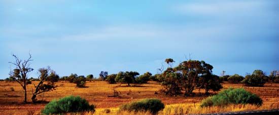 South Australia