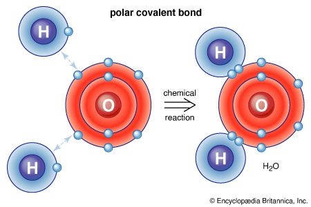 polar covalent bond