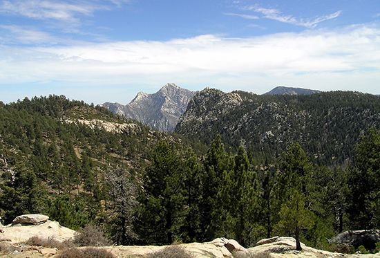 Sierra San Pedro Mártir