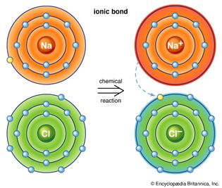 ionic bond: sodium chloride, or table salt