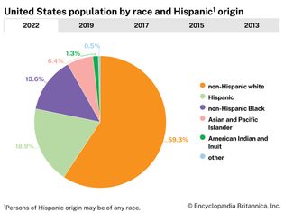 United States: Population by race and Hispanic origin