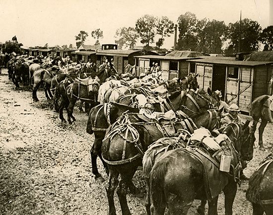 Battle of Verdun