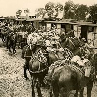 Caption: French troops are being relieved by fresh troops at Verdun. View shows horses lined up in front of shelters, ca. 1914-1918. (World War I)