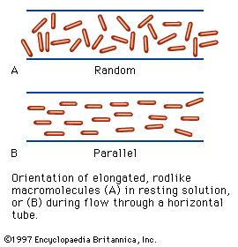 macromolecules