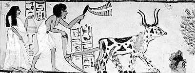 plowing and sowing in Thebes