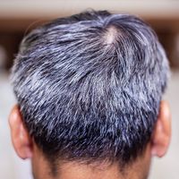 Back of a head of an older man with gray hair (aging, elderly, mature, grey, seniors).