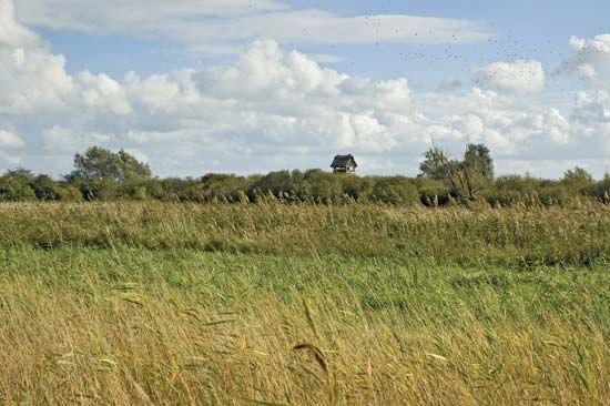 Wicken Fen