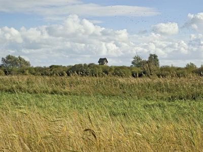 Wicken Fen