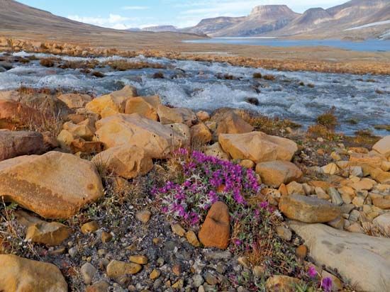 Ellesmere Island