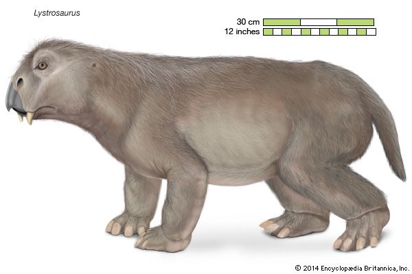 Lystrosaurus