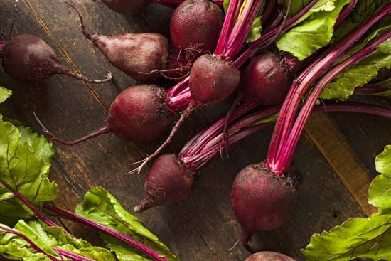 beet