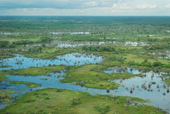 Okavango delta