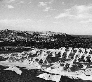 Al-Hasa oasis, Saudi Arabia