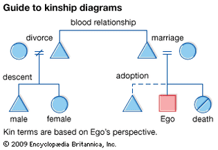 Basics of kinship diagrams