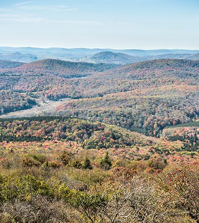 Spruce Knob summit