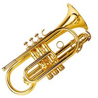 Trumpet musical instrument.