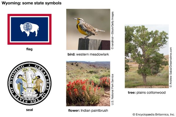 Wyoming state symbols