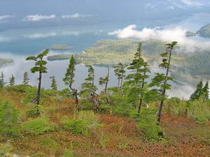 Prince William Sound