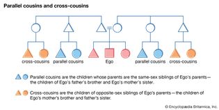 Parallel and cross-cousins