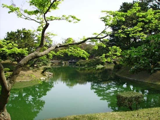 Japanese garden