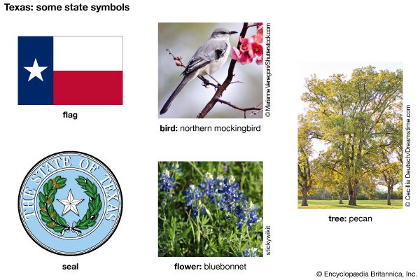 Texas state symbols