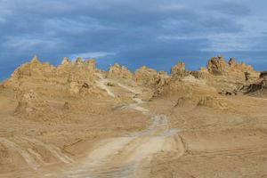 Gobi Desert: tire tracks