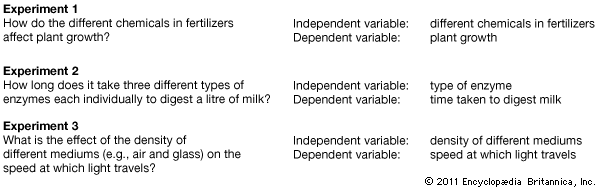 scientific method and examples of independent and dependent variables