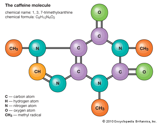 caffeine molecule