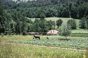 Šumadija, Serbia