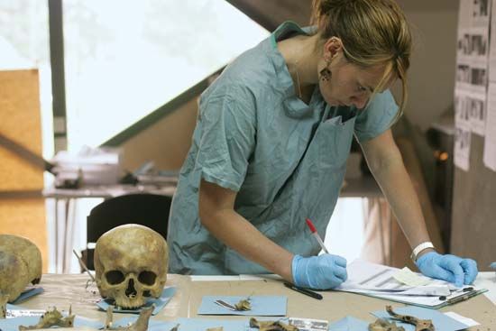 forensic anthropologist