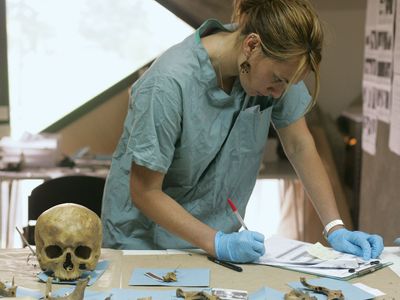 forensic anthropologist