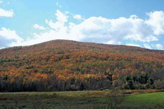 Catskill Mountains