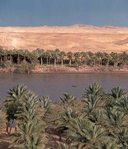 The Euphrates River at Khān al-Baghdādi, on the edge of the Al-Jazīrah plateau in north-central Iraq.