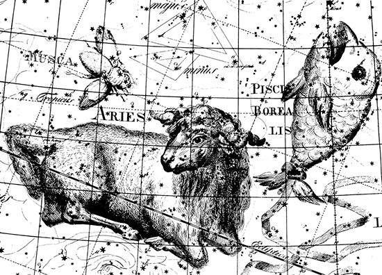 The constellation Aries (the Ram) and others, from Johann E. Bode's Uranographia, 1801. The constellation Musca (the Fly) shown here is obsolete: the modern constellation Musca is in the southern skies.