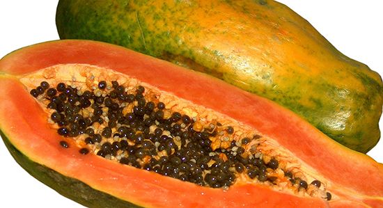 papaya