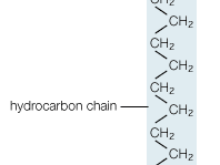 stearic acid